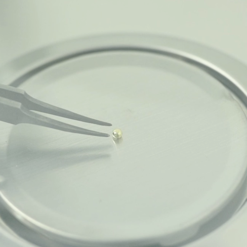 /img/products-home-images/fire-Assay.png